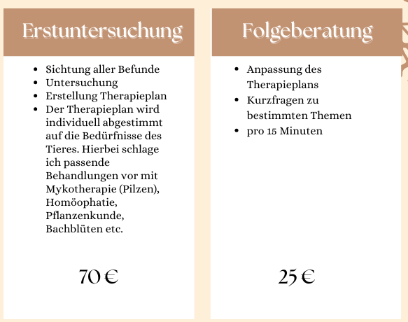 grafik 3