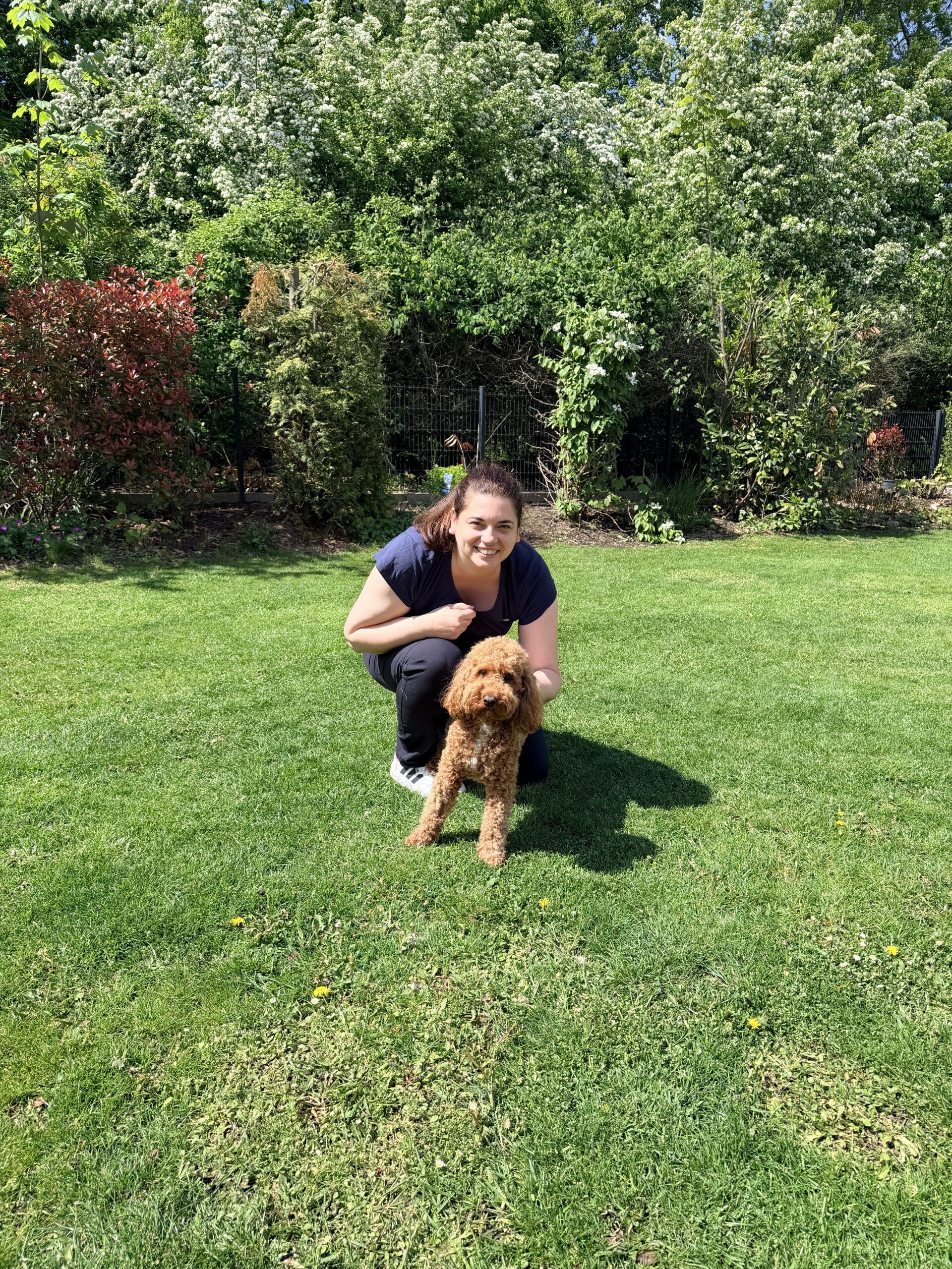 Hundephysiotherapeutin von den Deisterpfoten in Barsinghausen