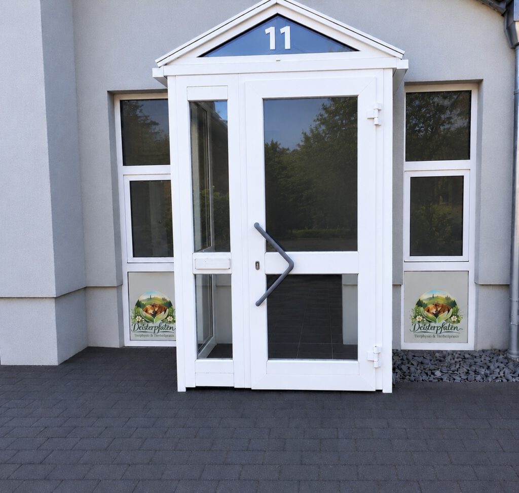 hundephysiotherapie Barsinghausen
